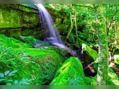 Phu Kradueng National Park, Loei, Thailand