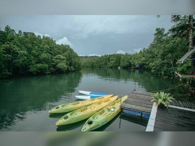 Mangrove Forest Kayaking, Koh Kood, Thailand