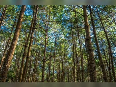 Phu Hin Rong Kla National Park, Loei, Thailand