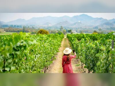 Phu Ruea Highland Winery, Loei, Thailand