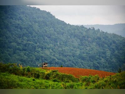 Phu Luang Wildlife Sanctuary, Loei, Thailand