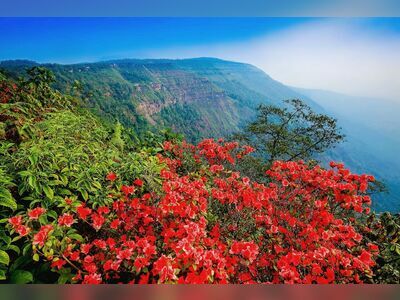 Phu Luang Wildlife Sanctuary, Loei, Thailand
