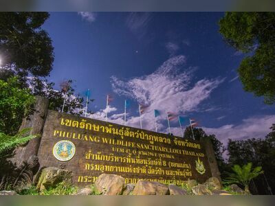 Phu Luang Wildlife Sanctuary, Loei, Thailand