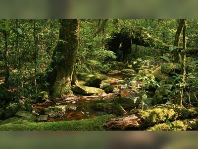 Phu Luang Wildlife Sanctuary, Loei, Thailand
