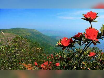 Phu Luang Wildlife Sanctuary, Loei, Thailand