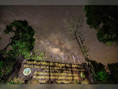 Phu Luang Wildlife Sanctuary, Loei, Thailand