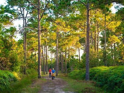 Phu Kradueng National Park, Loei, Thailand