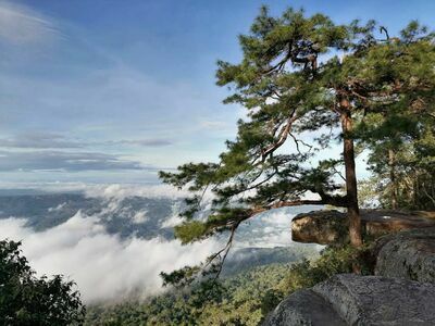 Phu Kradueng National Park, Loei, Thailand