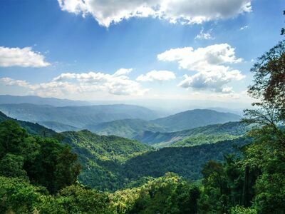 Doi Phu Kha National Park, Nan, Thailand
