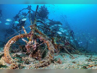 Koh Tao Coral Nursery, Koh Tao, Thailand