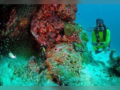 North Point, Similan Islands, Thailand