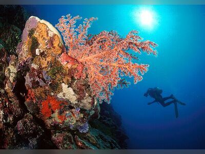 North Point, Similan Islands, Thailand