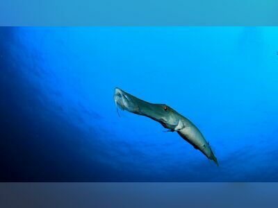 Boulder City, Similan Islands, Thailand