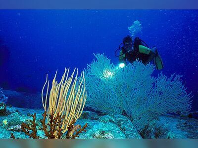 Boulder City, Similan Islands, Thailand