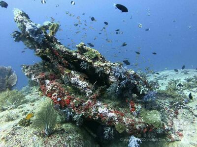 West of Eden, Similan Islands, Thailand