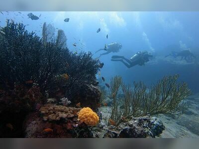 West of Eden, Similan Islands, Thailand