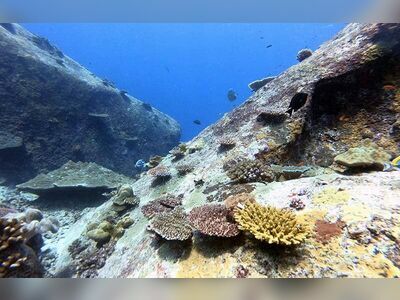 West of Eden, Similan Islands, Thailand