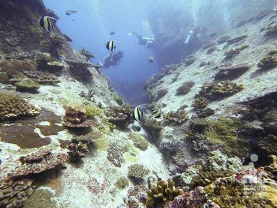 West of Eden, Similan Islands, Thailand