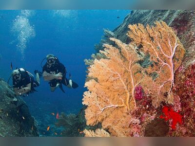 West of Eden, Similan Islands, Thailand