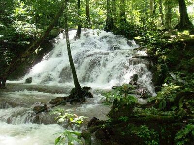 Sa Nang Manora Freost Park, Phang Nga, Thailand