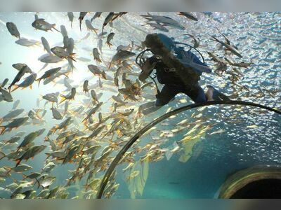 Nong Khai Aquarium, Nong Khai, Thailand