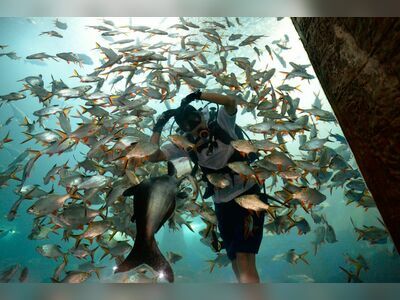 Nong Khai Aquarium, Nong Khai, Thailand