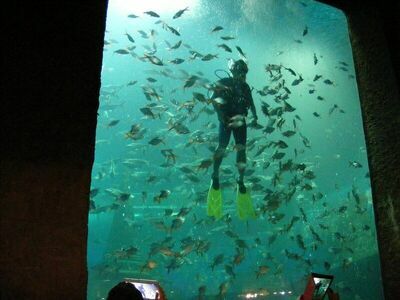 Nong Khai Aquarium, Nong Khai, Thailand