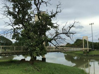 Nong Thin Public Park, Nong Khai, Thailand