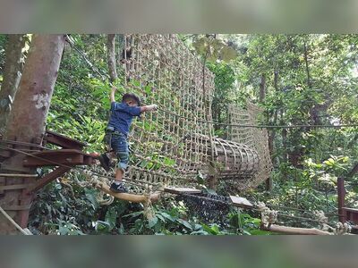 Tree Top Adventure Park, Koh Chang, Thailand