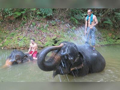Ban Kwan Chang Elephant Camp, Koh Chang, Thailand