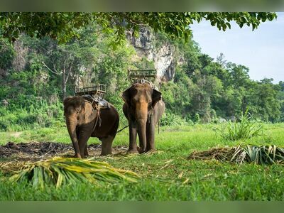 Ban Kwan Chang Elephant Camp, Koh Chang, Thailand