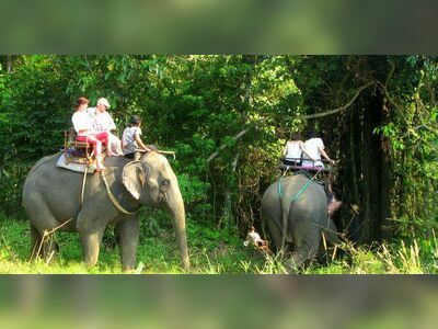 Ban Kwan Chang Elephant Camp, Koh Chang, Thailand