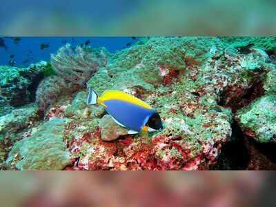 Hideaway Bay, Similan Islands, Thailand
