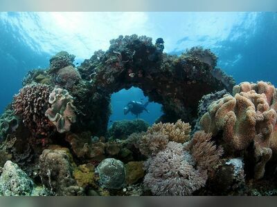 Breakfast Bend, Similan Islands, Thailand