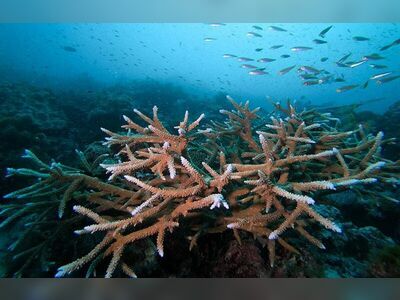 Breakfast Bend, Similan Islands, Thailand