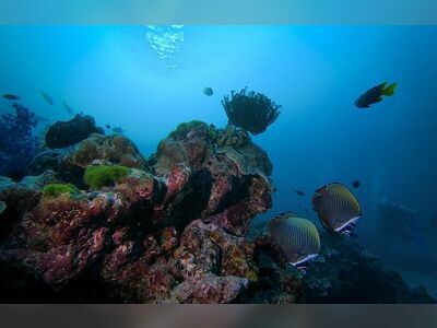 Breakfast Bend, Similan Islands, Thailand