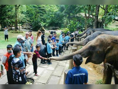 Phang Nga Elephant Park, Phang Nga, Thailand