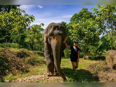 Phang Nga Elephant Park, Phang Nga, Thailand