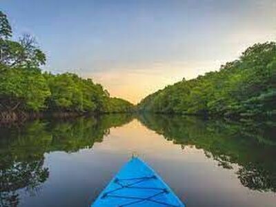 Mangrove Forest Kayaking, Koh Kood, Thailand