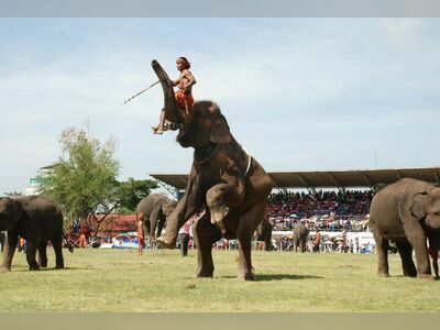 Rajamangala Surin Elephant Round-up Stadium, Surin, Thailand