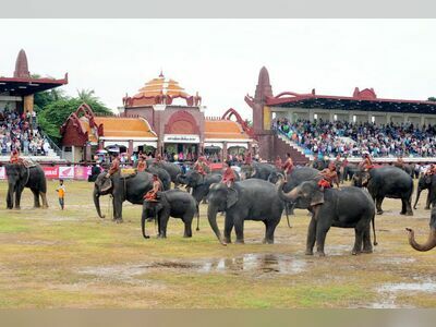 Rajamangala Surin Elephant Round-up Stadium, Surin, Thailand