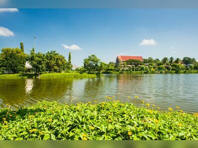 Mani Banphot Swamp, Tak, Thailand