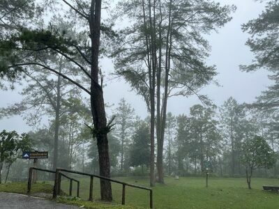 Taksin Maharat National Park, Tak, Thailand