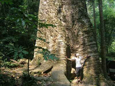 Taksin Maharat National Park, Tak, Thailand