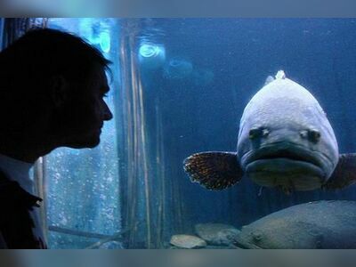 Koh Samet Aquarium, Thailand