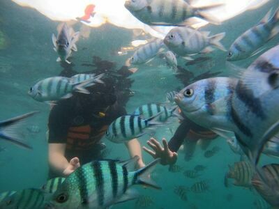 Koh Samet Aquarium, Thailand