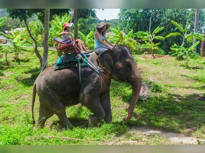 Phangan Safari, Koh Phangan, Thailand