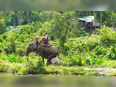 Phangan Safari, Koh Phangan, Thailand
