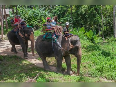 Phangan Safari, Koh Phangan, Thailand