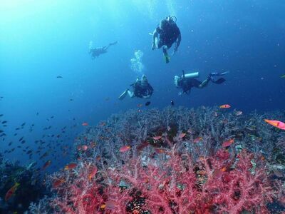 8 Mile Rock, Koh Lipe, Thailand